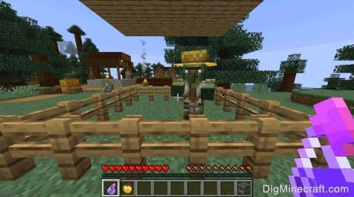 How to Cure a Zombie Villagers in Minecraft