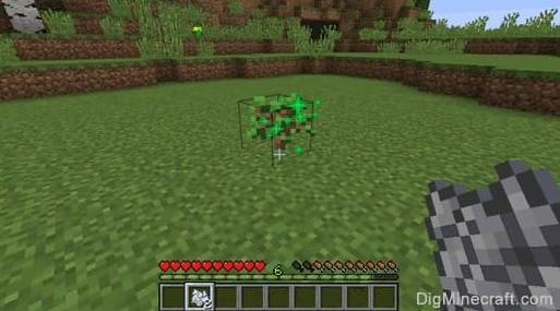 How to Make Trees Grow Faster in Minecraft