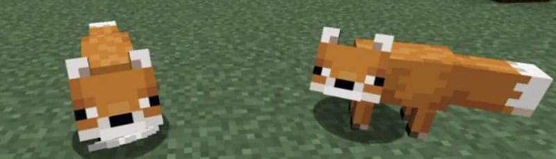 How to Tame a Fox in Minecraft