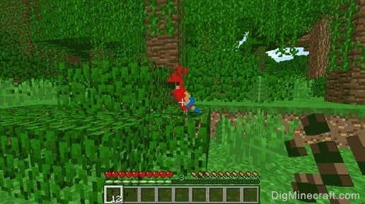 How to Tame a Parrot in Minecraft