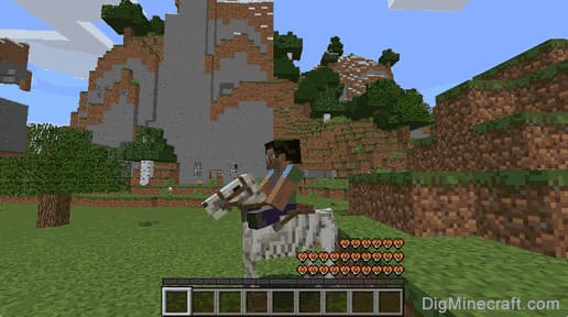How to Tame a Skeleton Horse in Minecraft